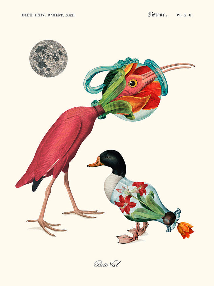 Two birds de Béto Val