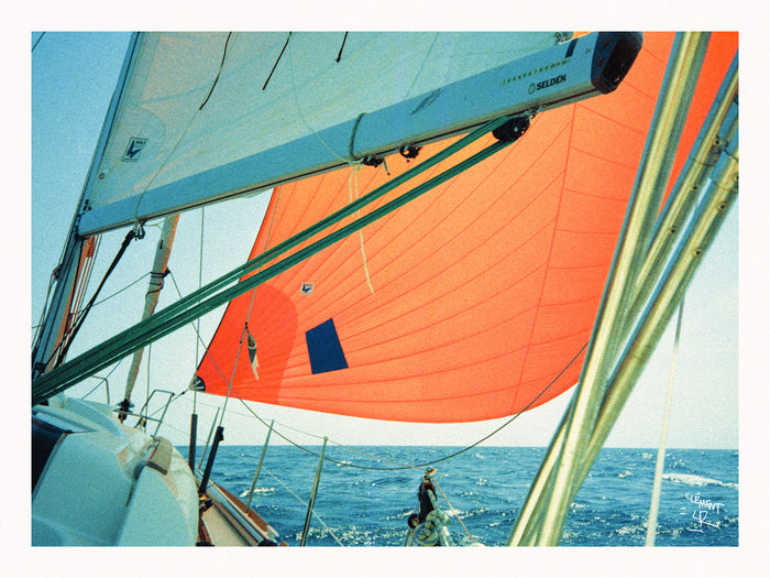 Riso - Sous spi de Clément LR