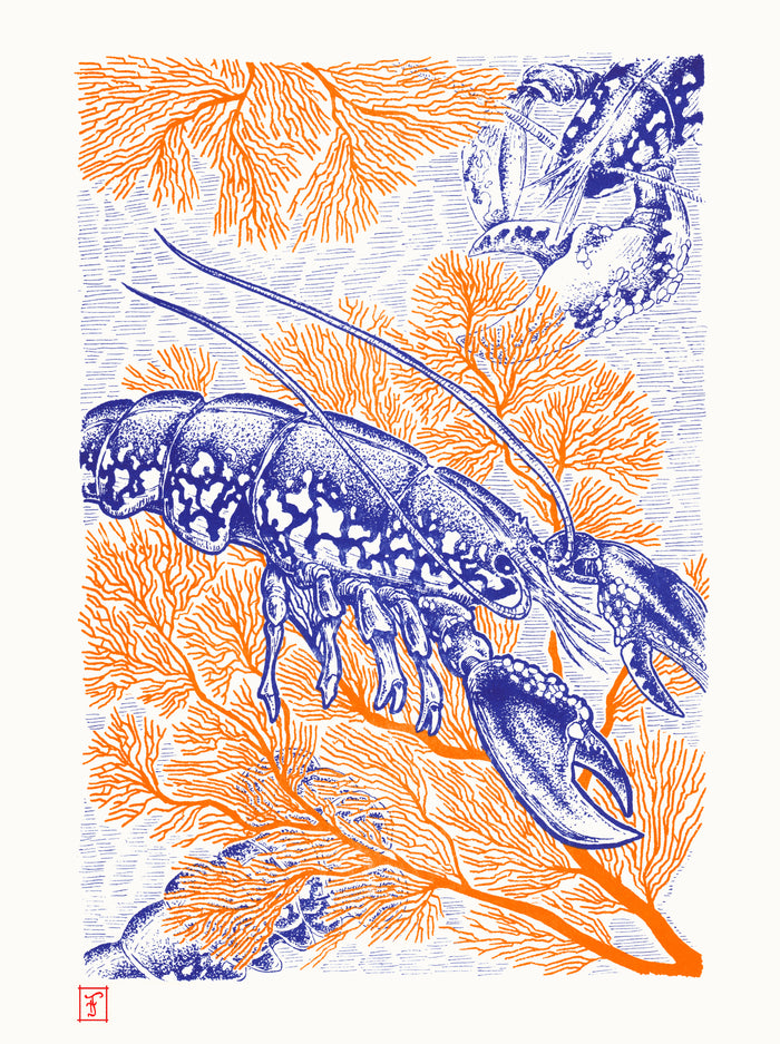 Riso - Écrin corail par Florian Mallet
