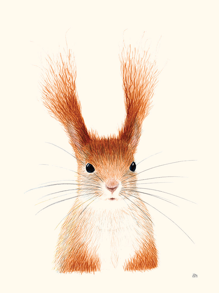 Écureuil par Hélène Monfort