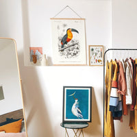 L'oiseau de lune de Maïté Loubigue