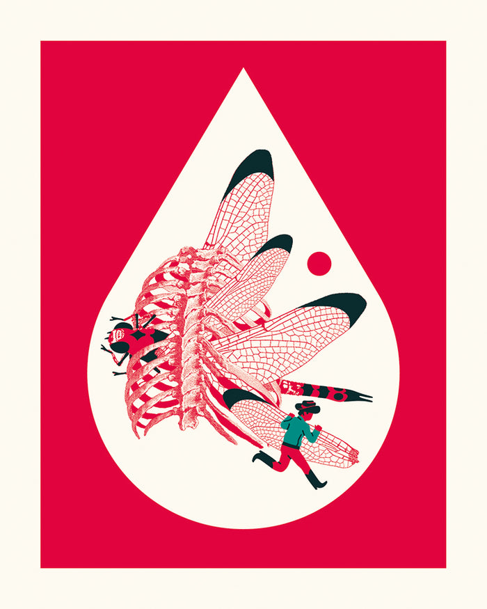 Django de Guillaume Bracciali