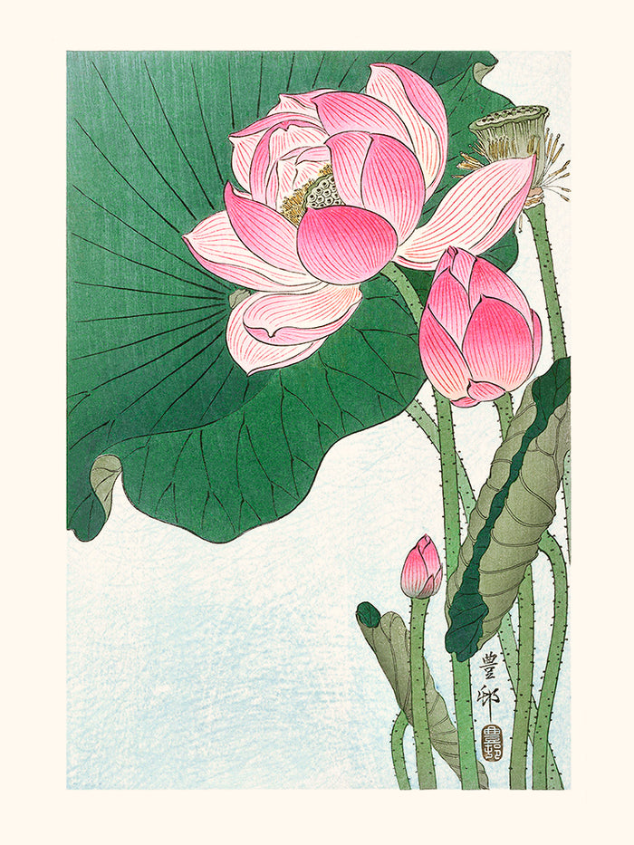 Fleur de lotus de Ohara Koson