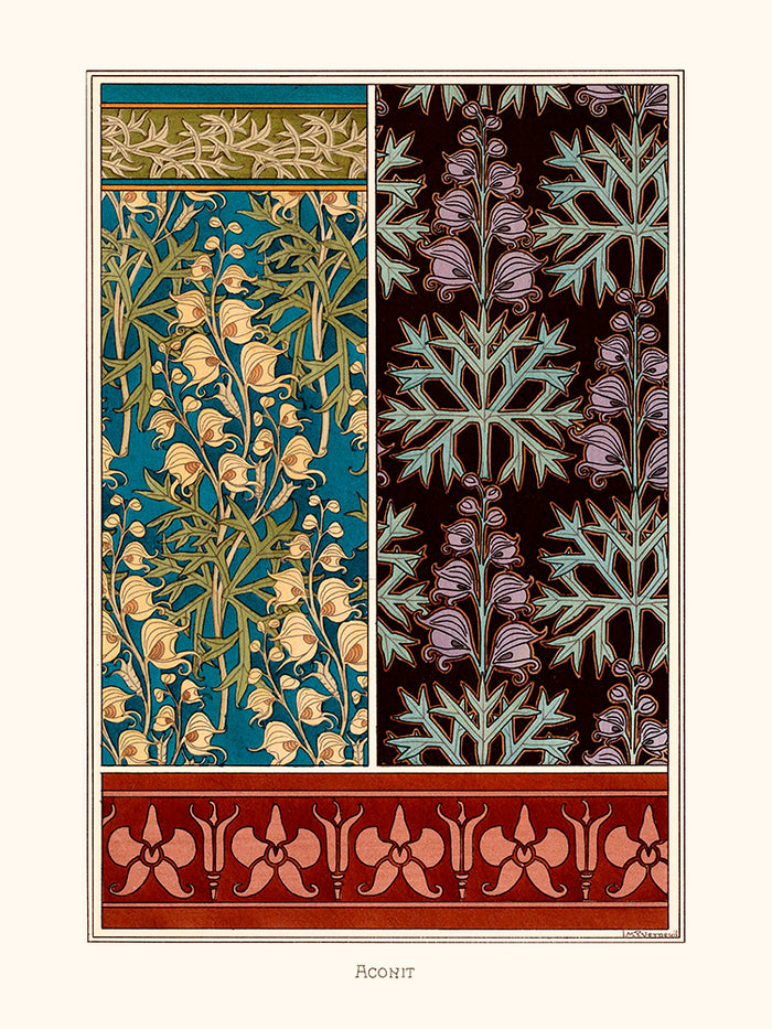 Ornements Aconit de Verneuil