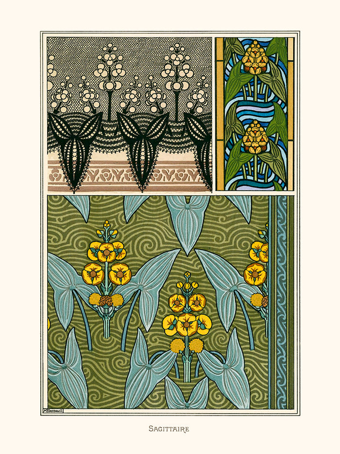 Ornements Sagitaire de Verneuil