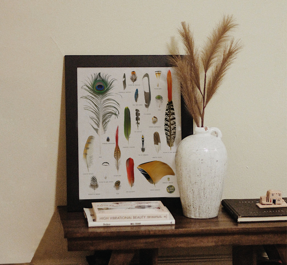 La Boîte à Plume (paon..)