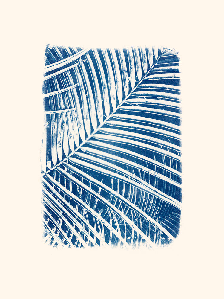 Palmier serre par Les Papiers Bleus