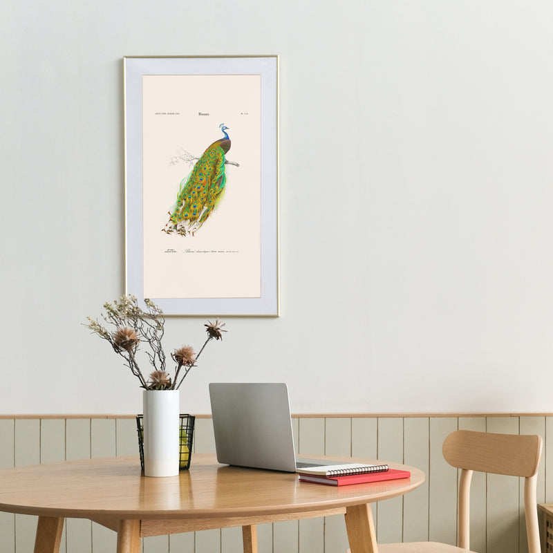 Affiches vintage d'ornithologie (Oiseaux)