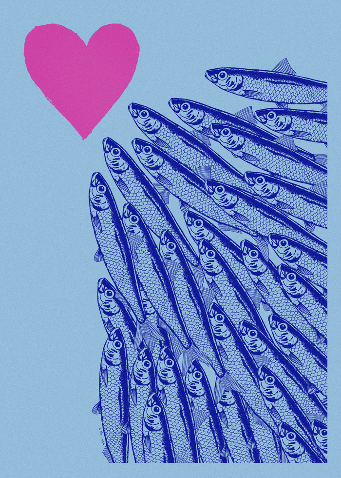 Appât au cœur - M. Ben Pokou