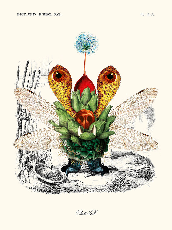 Image Alt Text