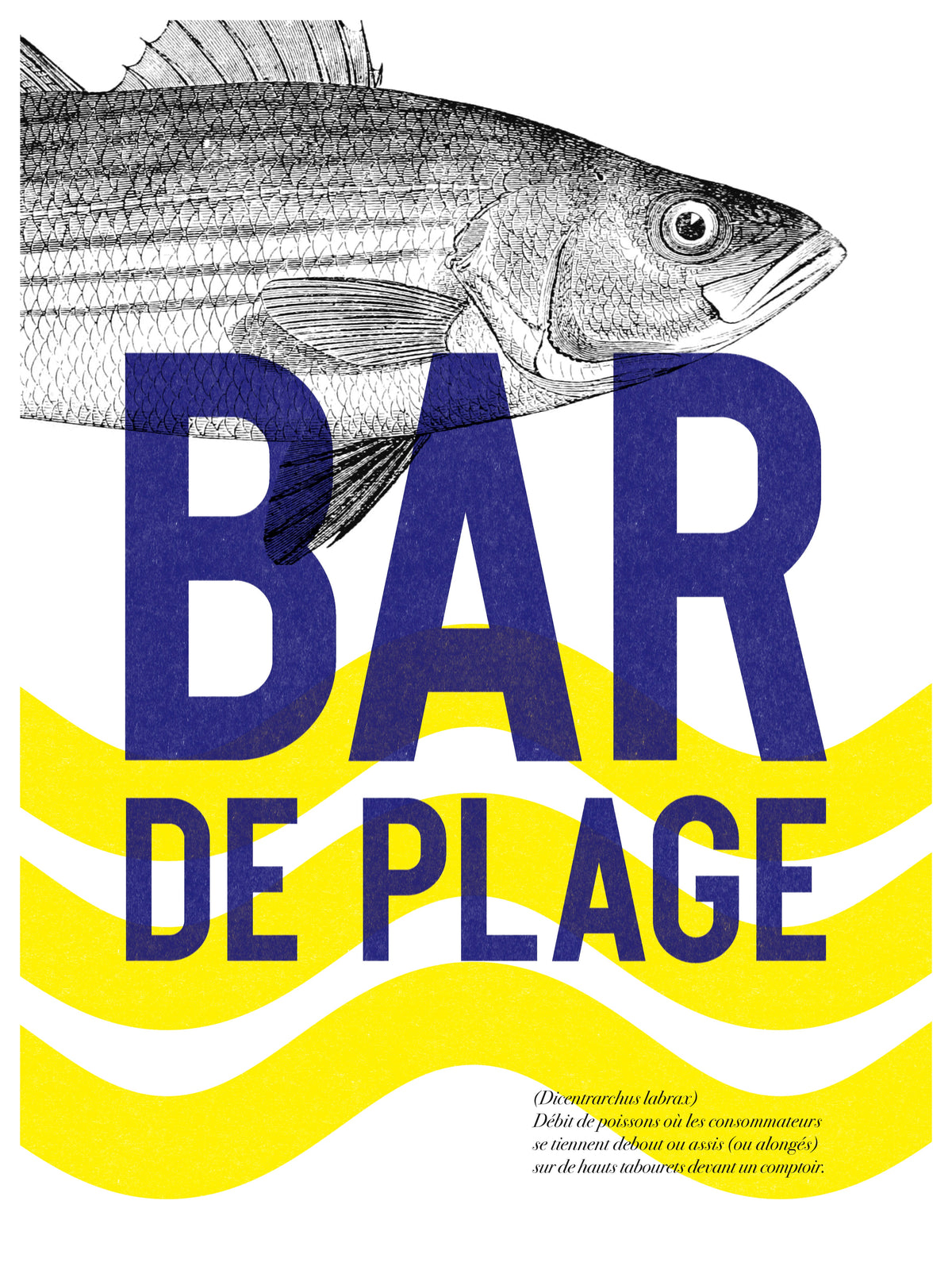Image Alt Text
