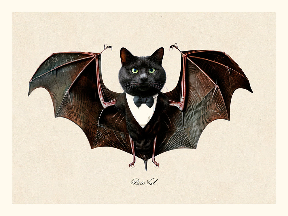 Bat Cat de Béto Val