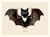 Bat Cat de Béto Val