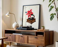 The Gramophone de Béto Val