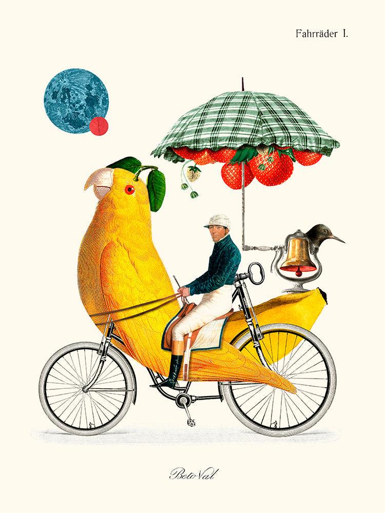 Béto Val - Bird Cycle