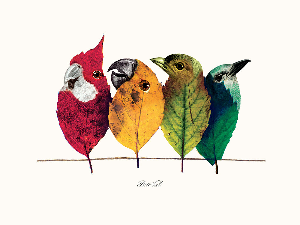 Birds on the wire de Béto Val