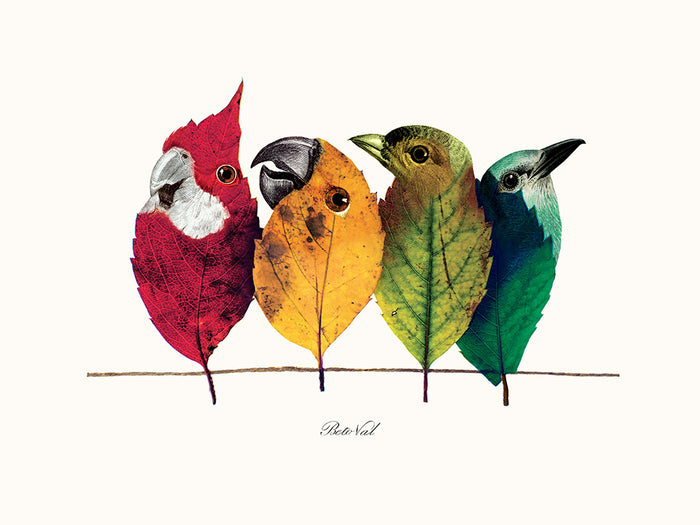 Birds on the wire de Béto Val