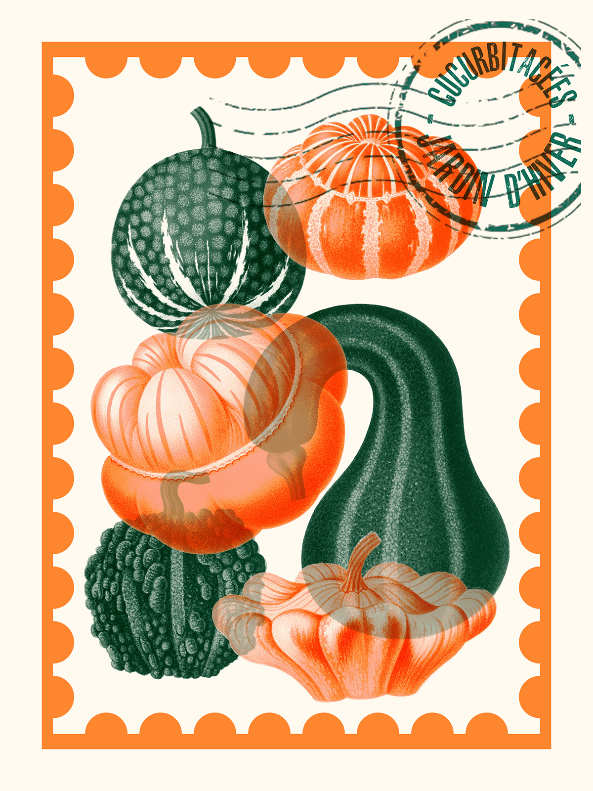 Cucurbitacées