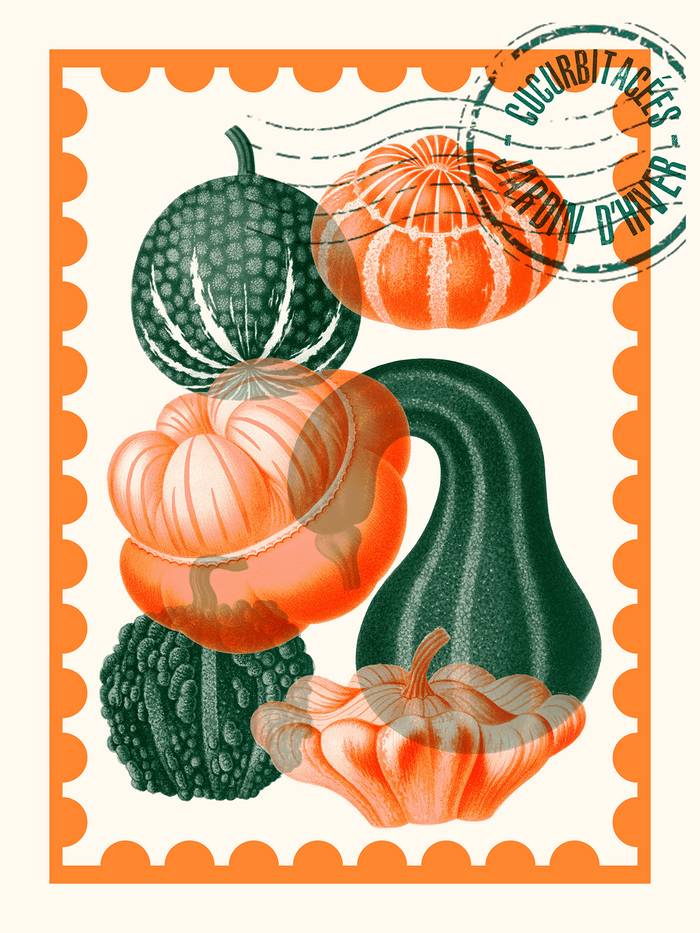 Cucurbitacées