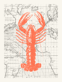 Homard & carte