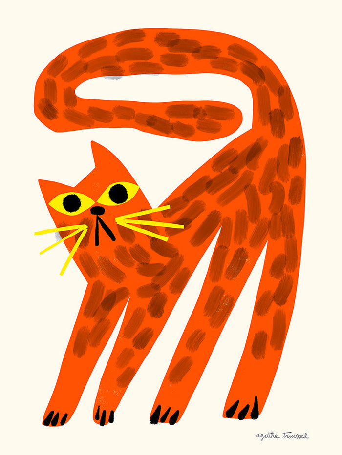 Chat - Agathe Troussel