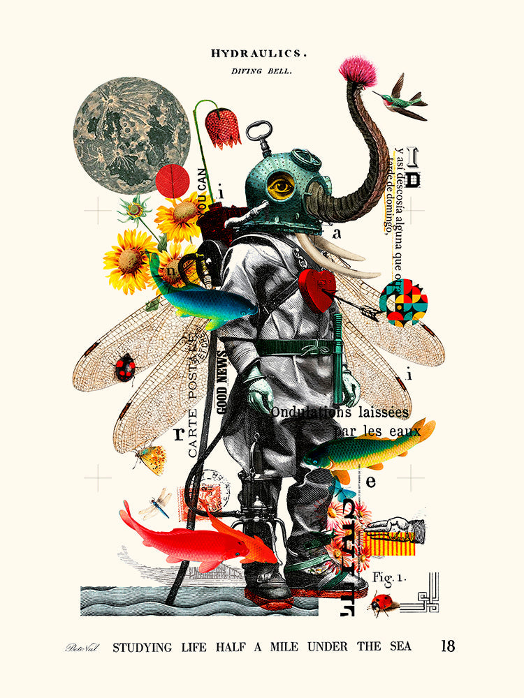 Image Alt Text