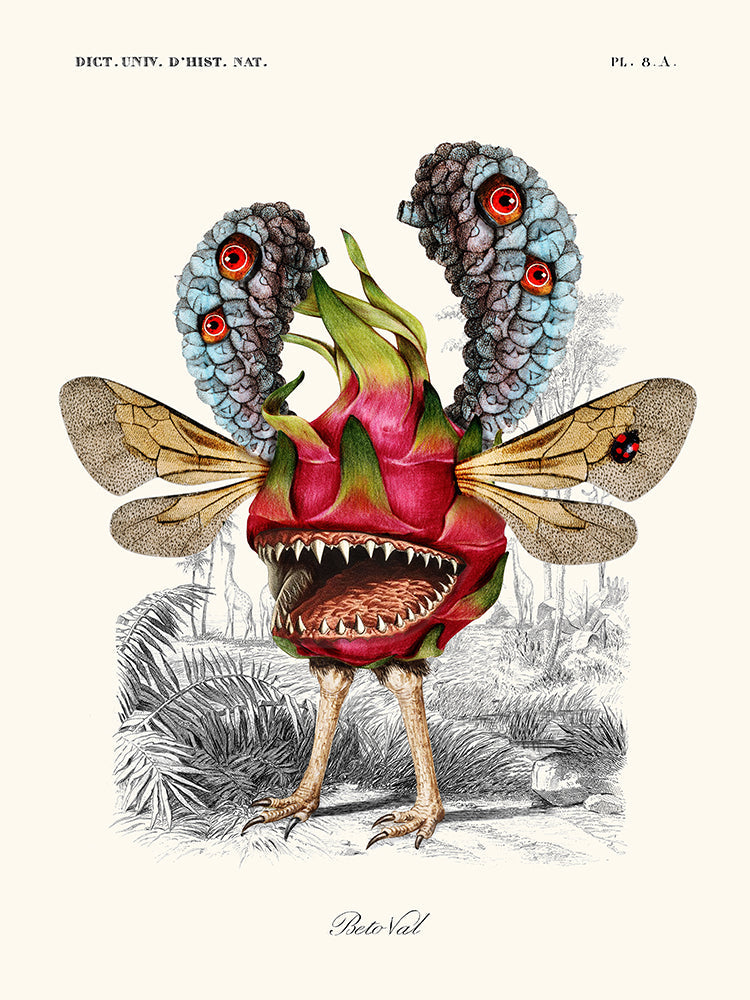 Image Alt Text