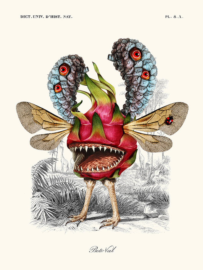 Image Alt Text