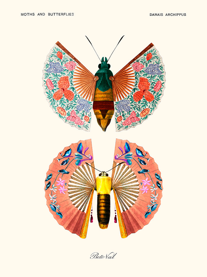 Flamenco butterfly de Béto Val