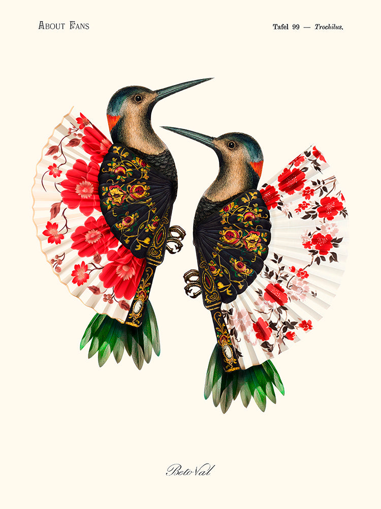 Flamenco hummingbird de Béto Val