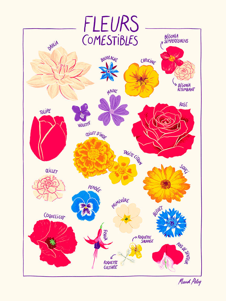 Fleurs comestibles - Maud Peloq