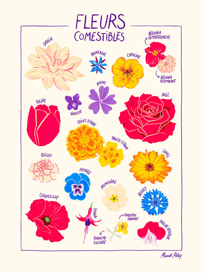 Fleurs comestibles - Maud Peloq