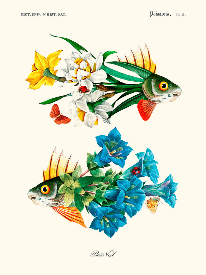 Béto Val - Flower Fish