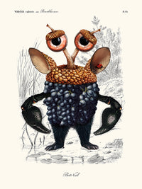 Grapes-Crabes de Béto Val