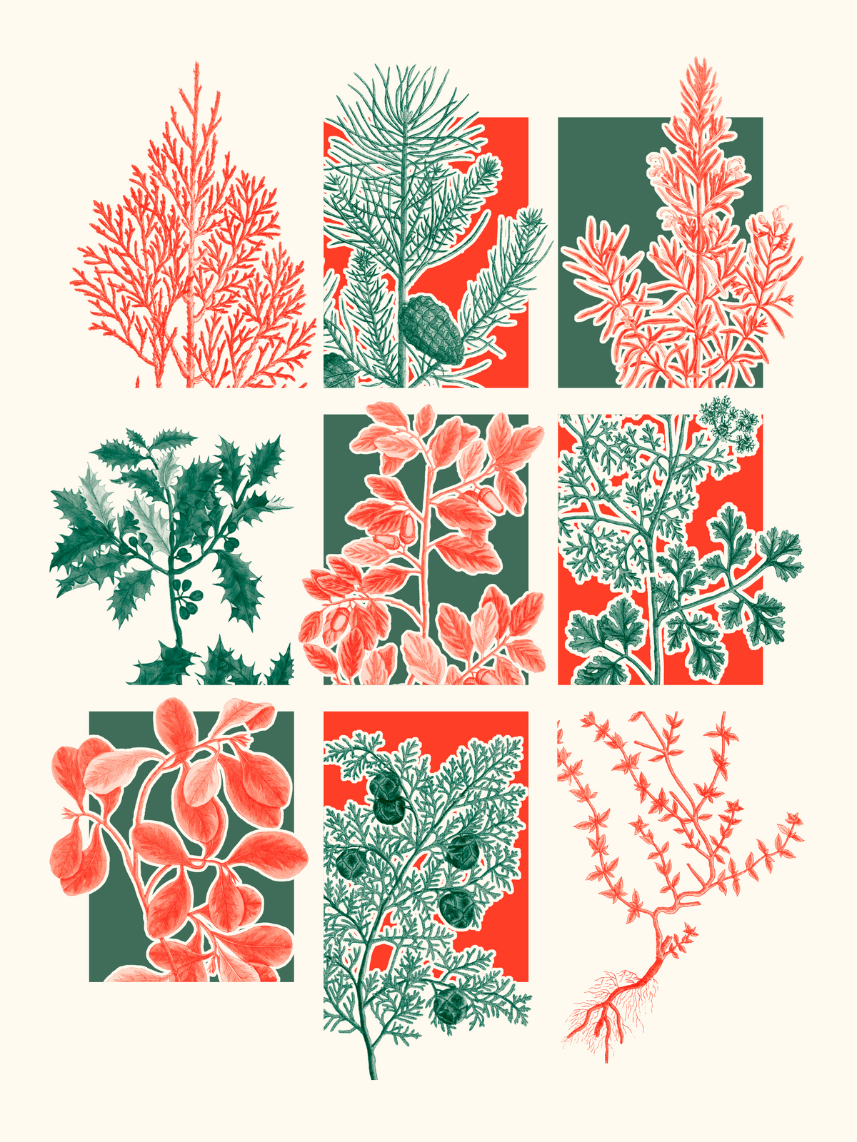 Herbier
