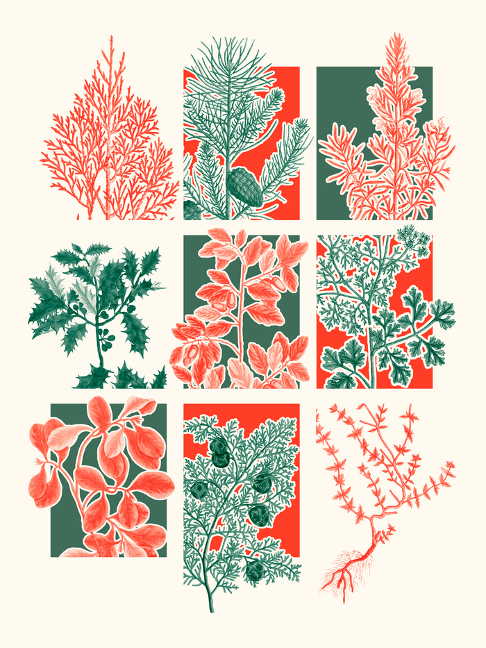 Herbier