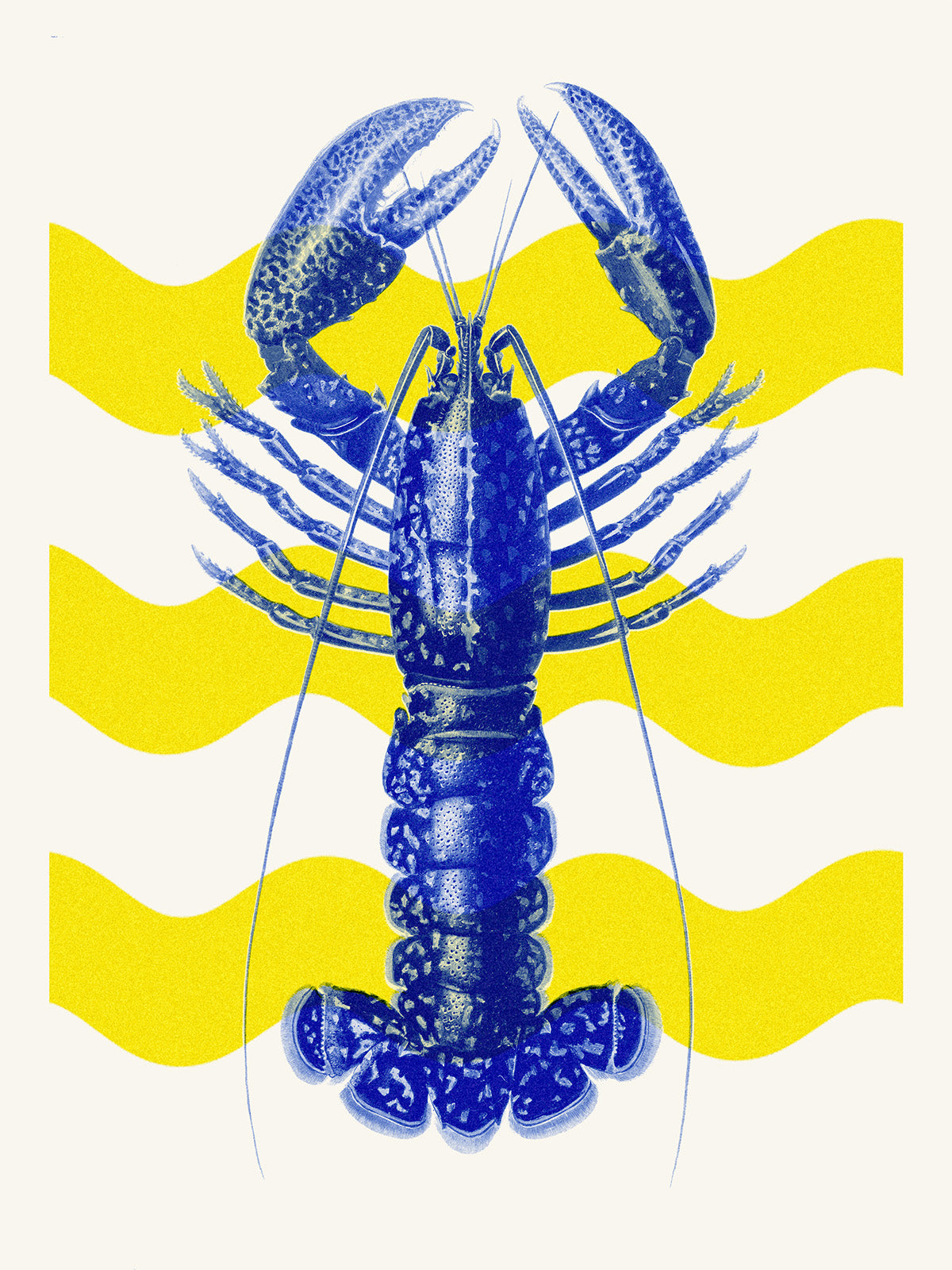 Homard vagues