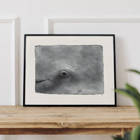 Baleine par Hélène Monfort