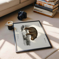 Hippopotamus