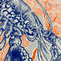 Écrin corail