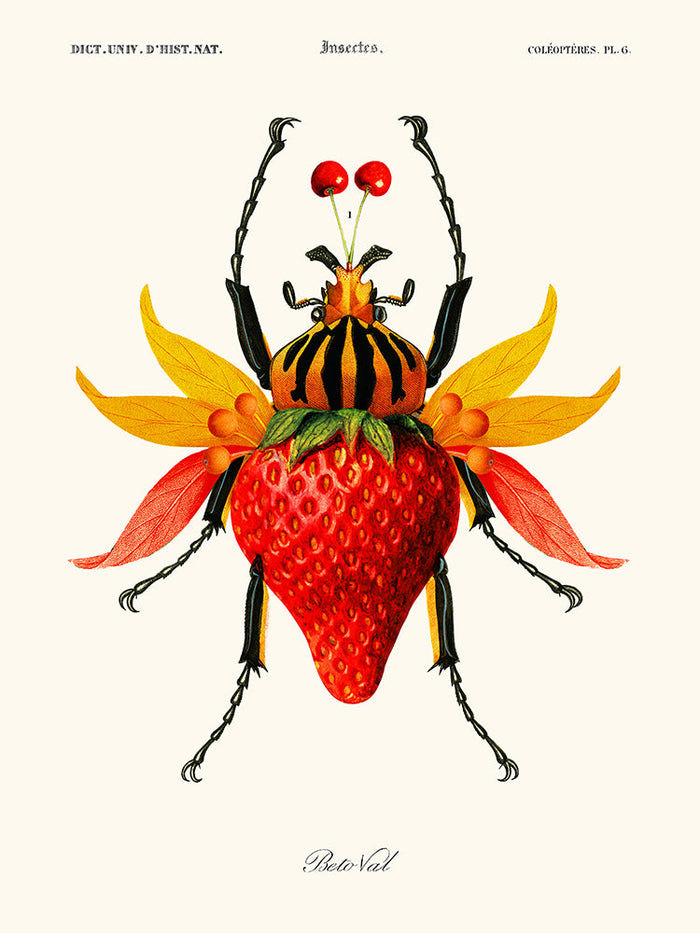 Image Alt Text