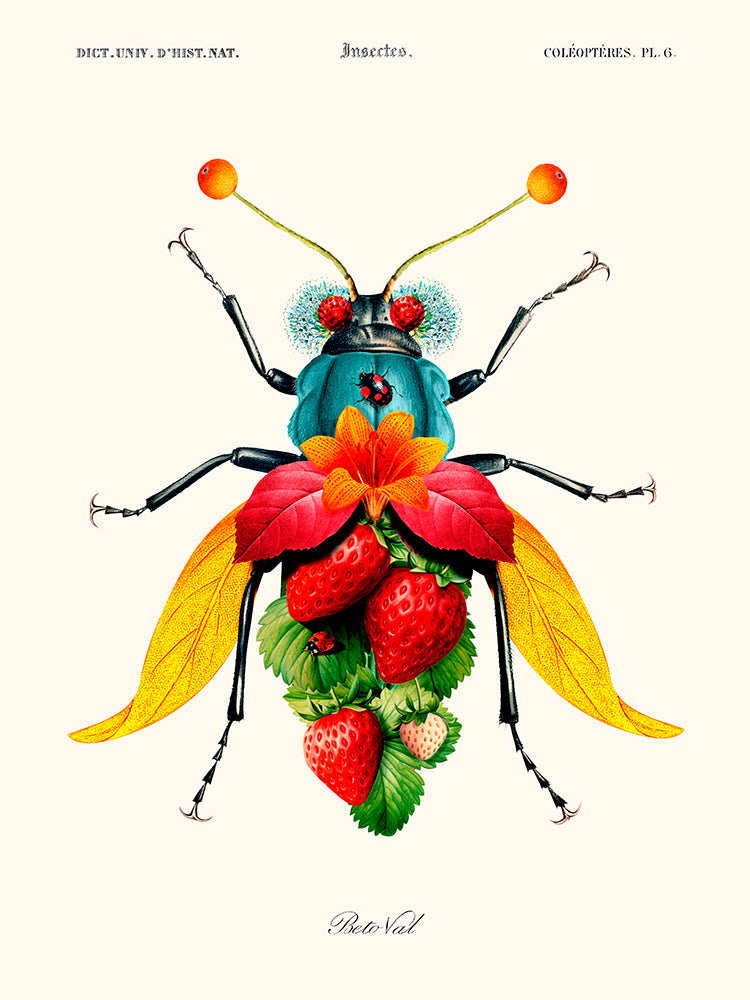 Insect Fruit de Béto Val