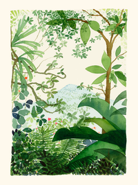 Jungle par Hélène Monfort