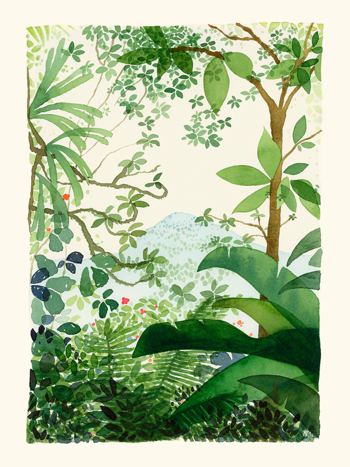 Jungle par Hélène Monfort