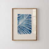 Palmier serre