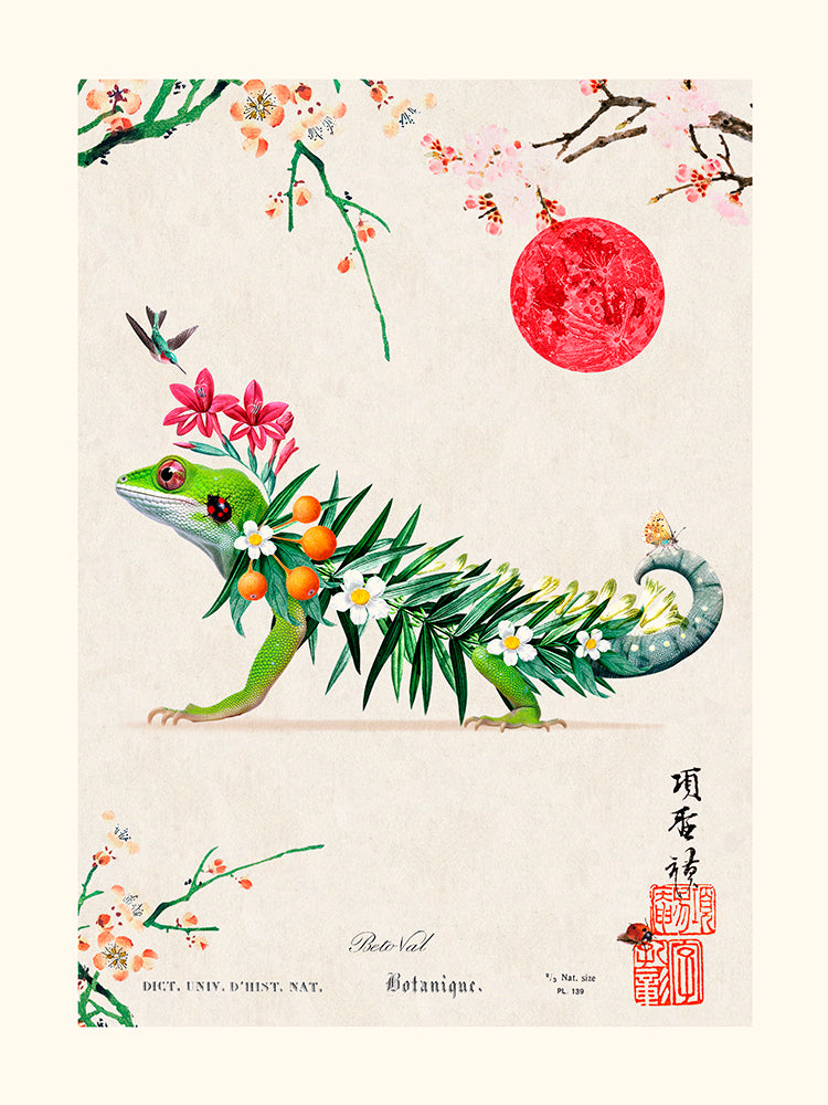 Image Alt Text