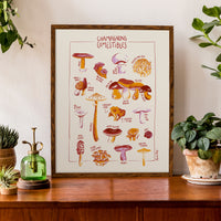 Champignons Maud Peloq