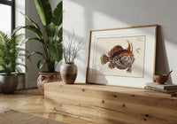 Le Crapaud de Mer