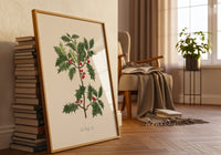 The Holly Tree - Le Houx