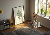 Limonaire, Lemon Tree